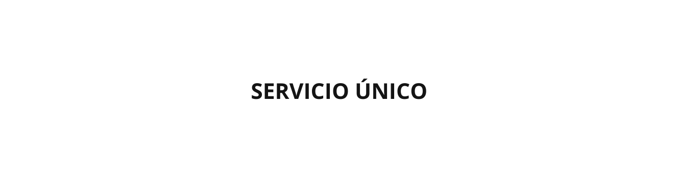 SERVICIO ÚNICO